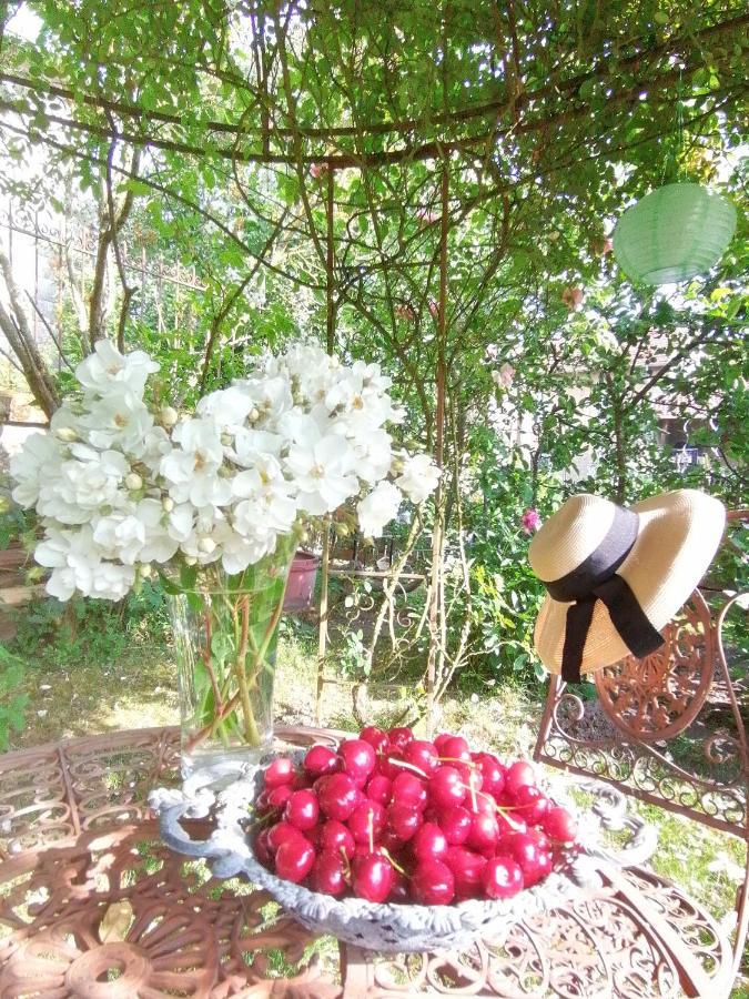 Chambre D'Hotes Les Magnolias Pontpierre Bagian luar foto